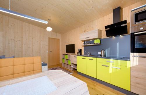 Flachau Apartment | Appartement - Vollholz Studio im Zentrum von Flachau
