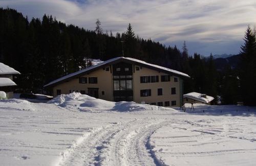 Muehlbach Am Hochkoenig Apartment | Appartementhaus Hochkönig 1 - Alpenrose