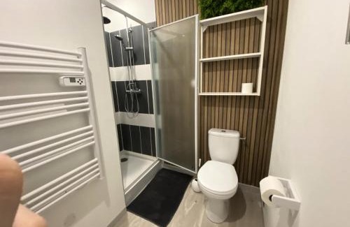 Fontaine Lestang-Bagatelle-Papus-Tabar-Bordelongue Apartment | Appartements à Toulouse - Pimpant - DEOVERTLS01 MAE-7331