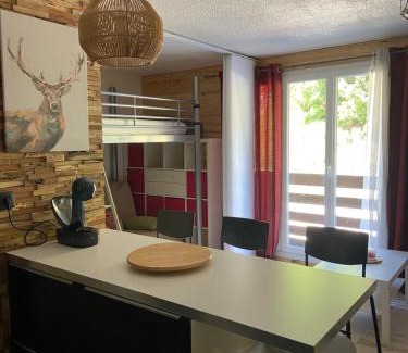 Allos Apartment | Appartements au cœur de la station de ski "La Foux D'allos"