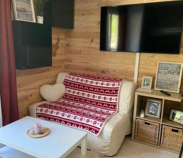 Allos Apartment | Appartements au cœur de la station de ski "La Foux D'allos"