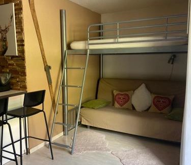 Allos Apartment | Appartements au cœur de la station de ski "La Foux D'allos"