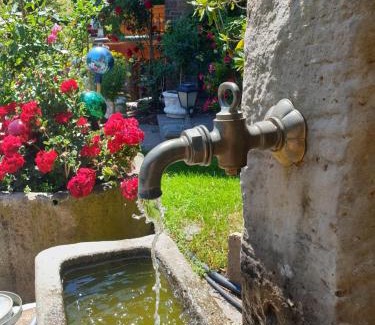 Bad Hofgastein Apartment | Appartment Graukogel Blick