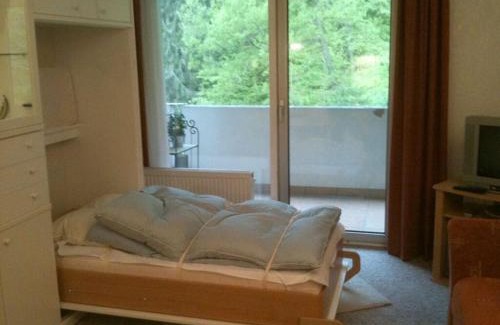 Bad Harzburg Apartment | Appealing apartment in Bad Harzburg