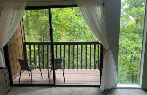 Jamestown Condo | Apple Valley Comfy “Treehouse" 2-Bedroom Condo inside Lake Cumberland State Park