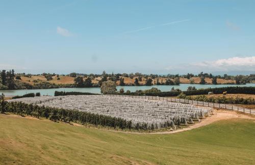 Mapua Apartment | Apple Valley West - Mahana