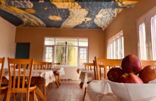 Srinagar House | ApriQuince Lodge