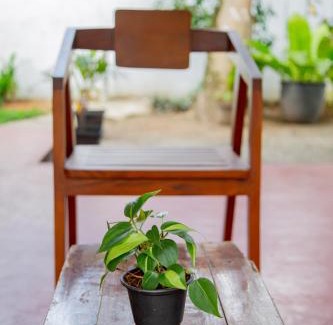 Thiranagama Villa | Aqua Sea Beach -Villa