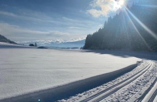 Seeboden House | Arcana Apartment