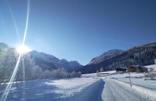 Kleinarl Apartment | ARCHE Hof Öbristhof