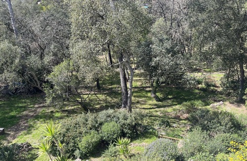 Saint-Raphael House | Architect-designed house set in greenery, in a quiet location.