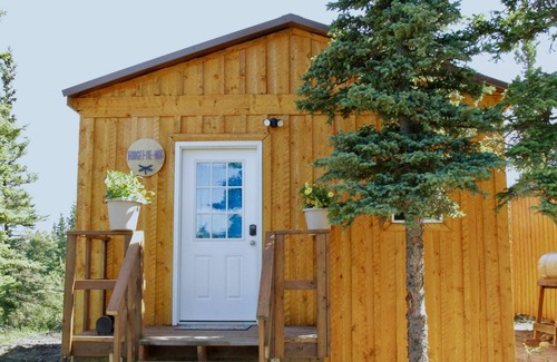 Healy Cabin | Arctic Dragonfly Inn