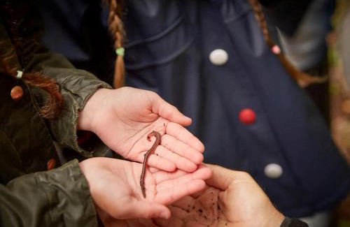 Ardgartan Resort | Ardgartan Argyll Cabins - Forest Holidays