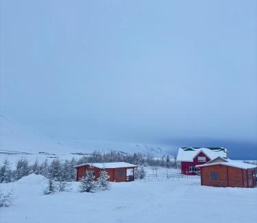 Sauarkrokur House | Armuli