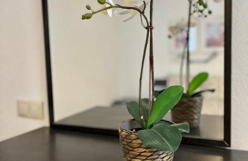 Santiago House | Arte de Marinheiro