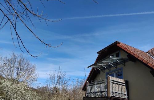 Wissembourg Apartment | Artemis