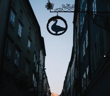 Altstadt Hotel | artHotel Blaue Gans