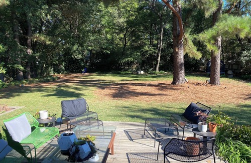 Fayetteville House | Artistic 3-bedroom house in lovely Fayetteville with a great vibe