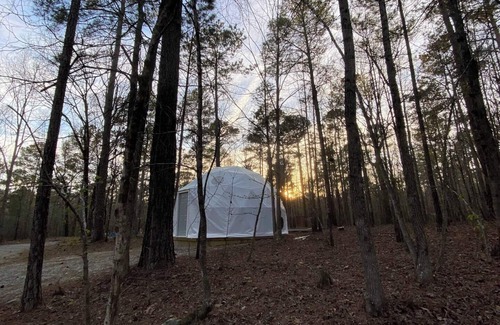 Lake Oconee RV Rental | Artistic Forest Dome Escape Near Lake Oconee