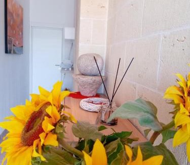 Cavallino Bed & Breakfast | ARZERIA