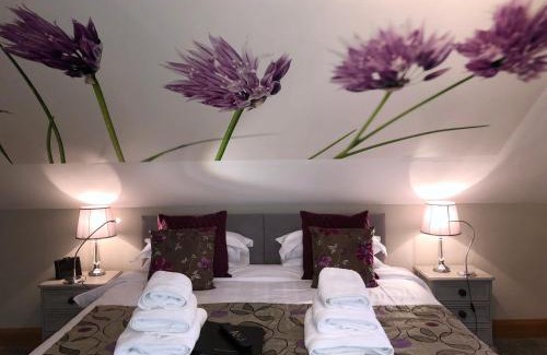Dungannon Bed & Breakfast | Ashbrook House B&B