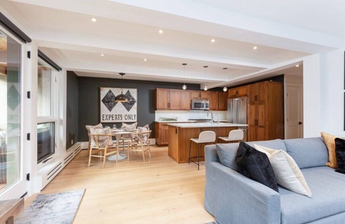 Aspen Apartment | Aspen Core Renovated 2 BR, 2 BA with AC