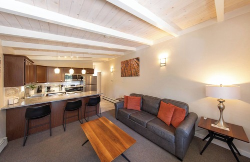 Basalt Hotel | Aspenalt Lodge