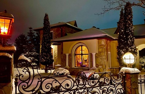 Palitsy House | Aston Martin Tower Art