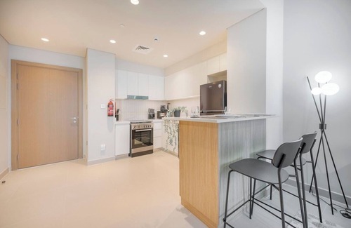 Dubai Apartment | Astonishing 1 BR apartment in Creek Harbour!