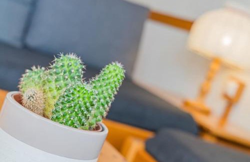 Kanzelhohe Apartment | Atemberaubende Aussicht, direkter Pistenzugang