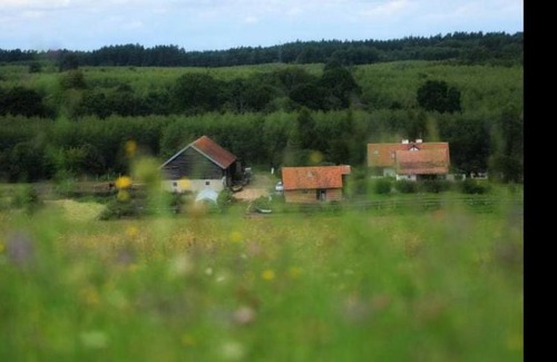 Dobre Miasto House | ATMA Agroturystyka