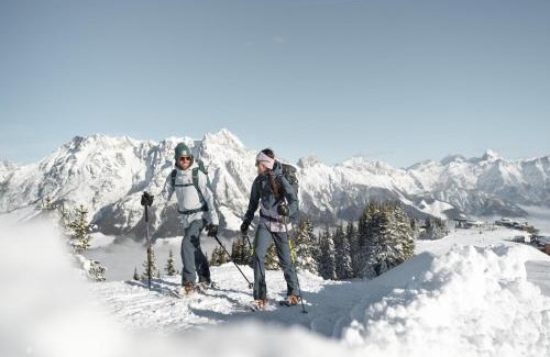 Saalfelden am Steinernen Meer Apartment | Attic Apartment in Saalfelden near Ski Slopes