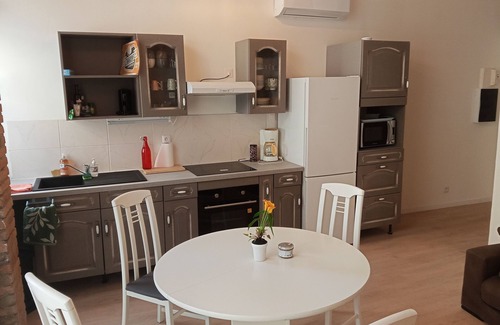 Graulhet Apartment | Atypical air-conditioned apartment, 4 to 6 p. Tarn, Albi,Gaillac,Cordes