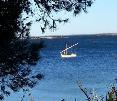Marseillan Bed & Breakfast | Au bord de Thau