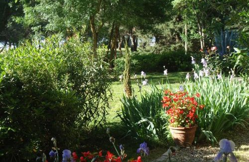 Marseillan Bed & Breakfast | Au bord de Thau