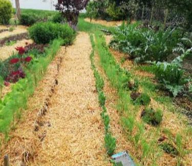 La Boussac House | Au cœur du jardin