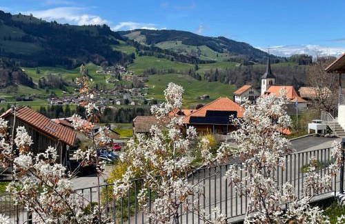 Bas-Intyamon Apartment | Au Chant des Grillons - studio ensoleillé en Gruyère