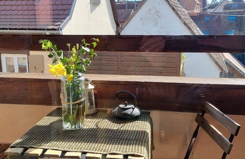 Barr Apartment | Au Dessus des Toits. Plein Centre Avec vue sur les Vignes et la Montagne