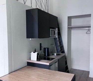 Villeboeuf - Fauriel - Vivaraize Apartment | Au fauriel 003 Central moderne