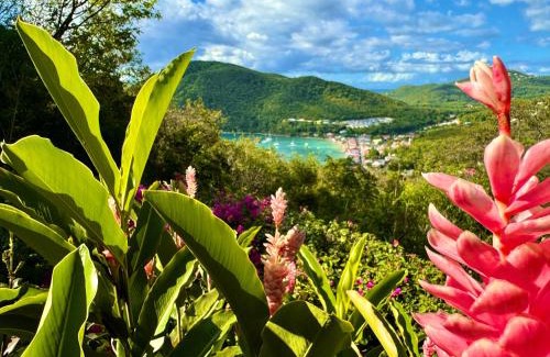 Deshaies Resort | Au Jardin Des Colibris Ecolodge&Spa