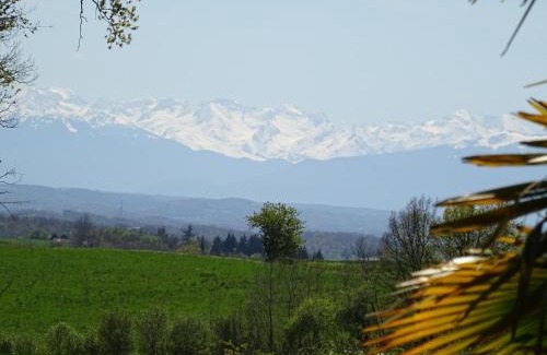 Blousson-Serian House | Au Moulié
