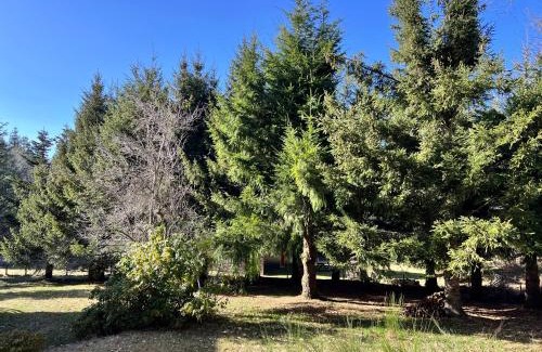 Saint-Sauveur-Camprieu Ski Chalet | Au Petit Bonheur