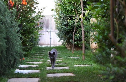 Tiggiano Apartment | Audaus 01 Authentic Salento