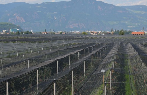 Laives Apartment | Auelehof Apartment Marlene - Surrounded by greenery, surrounded by apple orchards.
