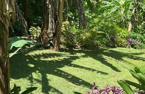 Fond Cani Villa | Aura Dominica