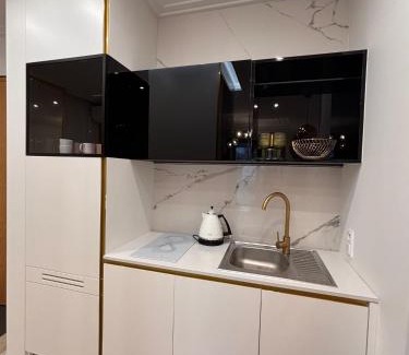 Powisle Apartment | Aurea 47 Warsaw