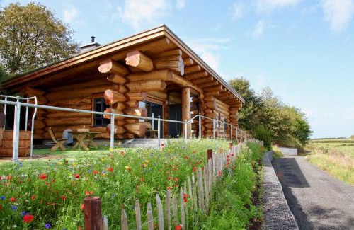 Bushmills Cabin | Aurora
