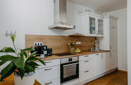 Morbisch am See Apartment | AusZeit Neusiedlersee