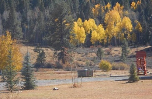 South Fork Cabin | Authentic 3BR Cabin w/ WiFi in the San Juan Mountains!