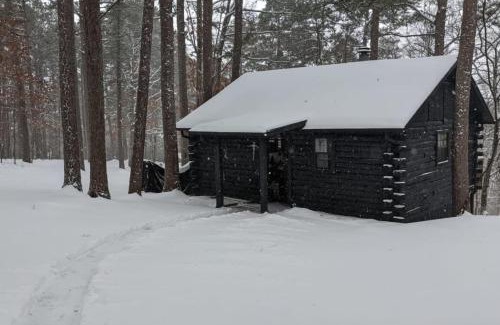 Eureka Springs House | Authentic Log Cabin with Full Kitchen, Fireplace a